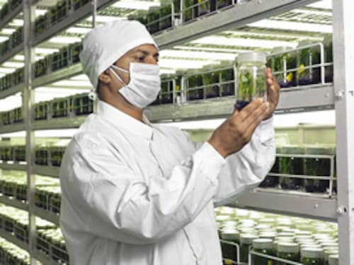 Forbes India Image