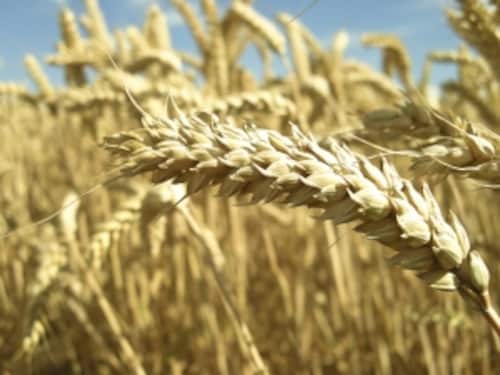 Forbes List Forbes List Logo