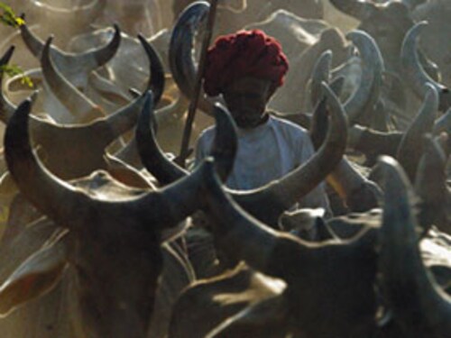 Forbes India Image