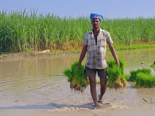 Forbes India Image