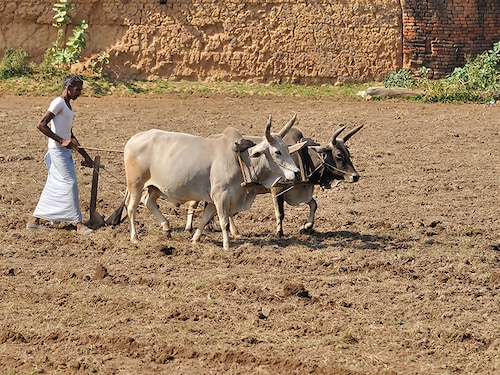 Forbes India Image