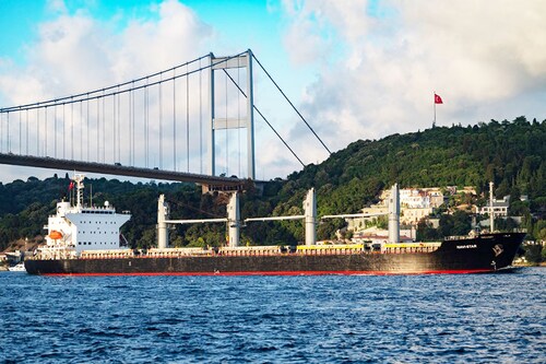 The Panama-flagged bulk carrier Navi Star carrying tons of grain from Ukraine sails along the Bosphorus Strait past Istanbul on August 7, 2022, after being officially inspected. Image: Yasin Akgul/AFP The Panama-flagged bulk carrier Navi Star carrying tons of grain from Ukraine sails along the Bosphorus Strait past Istanbul on August 7, 2022, after being officially inspected. Image: Yasin Akgul/AFP