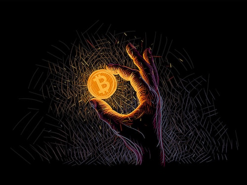 Image: Shutterstock