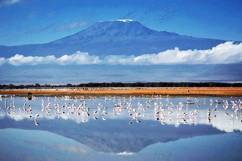 Tanzania has installed high-speed internet services on the slopes of Mount Kilimanjaro, allowing anyone with a smartphone to tweet, Instagram or WhatsApp their ascent of Africa"s highest mountain.
Image:Tanya Willmer / AFP