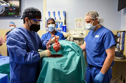 This handout photo released by the University of Maryland School of Medicine on January 10, 2022 shows surgeons performing a transplant of a heart from a genetically modified pig to patient David Bennett, Sr., in Baltimore, Maryland, on January 7, 2022. (Credit: UNIVERSITY OF MARYLAND SCHOOL OF MEDICINE / AFP) This handout photo released by the University of Maryland School of Medicine on January 10, 2022 shows surgeons performing a transplant of a heart from a genetically modified pig to patient David Bennett, Sr., in Baltimore, Maryland, on January 7, 2022. (Credit: UNIVERSITY OF MARYLAND SCHOOL OF MEDICINE / AFP)