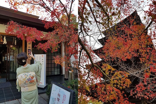 Hunting for autumn colors is a centuries old tradition in Japan and is called "momijigari".
Image: Bérangère Chatelain / ETX Studio© Hunting for autumn colors is a centuries old tradition in Japan and is called "momijigari".
Image: Bérangère Chatelain / ETX Studio©