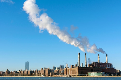 While businesses are beginning to report on their carbon emissions and climate impacts—albeit with some facing accusations of "greenwashing"—few firms give details on biodiversity.
Image: Shutterstock