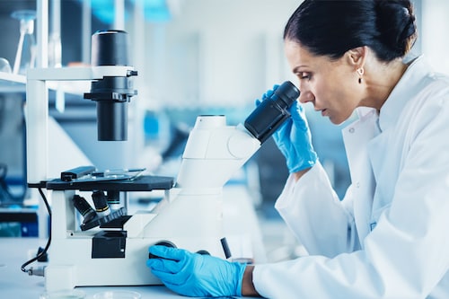 Gender parity will be achieved in the authorship of scientific papers on biology by 2069, according to a new study. Image: Shutterstock