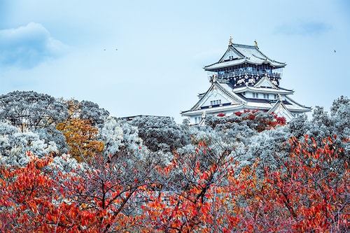 Osaka, Japan. Image credit: Shutterstock Osaka, Japan. Image credit: Shutterstock