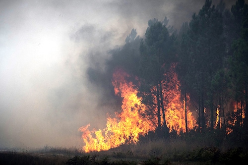 In a new study published in the journal Nature, researchers used data, machine learning and modelling to estimate global daily quantities of fine particles called PM2.5 and surface ozone concentrations emitted by landscape fires between 2000 and 2019.
Image: Philippe Lopez / AFP© In a new study published in the journal Nature, researchers used data, machine learning and modelling to estimate global daily quantities of fine particles called PM2.5 and surface ozone concentrations emitted by landscape fires between 2000 and 2019.
Image: Philippe Lopez / AFP©
