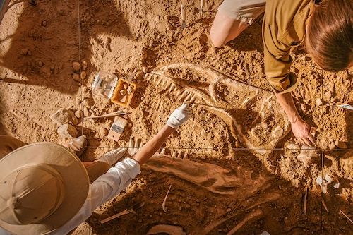 A study reveals that two dramatic episodes of global warming occurred over 50 million years ago. 
Image: Shutterstock