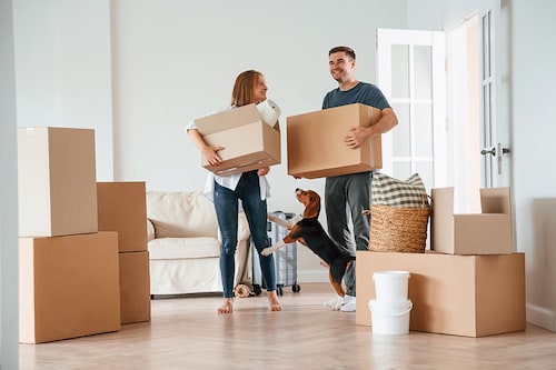 Many couples are now writing pets into their prenups.
Image: Shutterstock