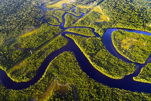 In the latest study, published in the journal Nature, an international group of scientists estimated that between 10 and 47 percent of the Amazon will be exposed to stress by 2050 that could lead to widespread ecosystem change. Image: Shutterstock