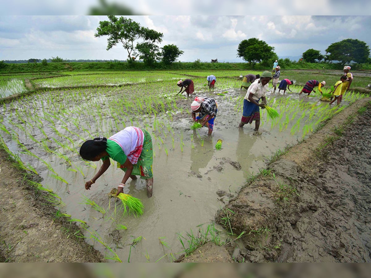 Budget 2024 spotlights agriculture, overall rural recovery