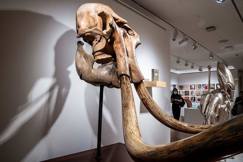 Exhibits are seen on display during a media tour of the new two-storey, 24,000 square foot (2,230 square metre) Sotheby’s space in the Central district of Hong Kong. Image: Isaac Lawrence / AFPÂ©