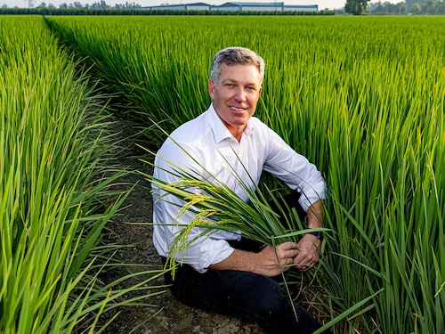 Jeff Rowe, CEO, Syngenta Group Image: Madhu Kapparath Jeff Rowe, CEO, Syngenta Group Image: Madhu Kapparath