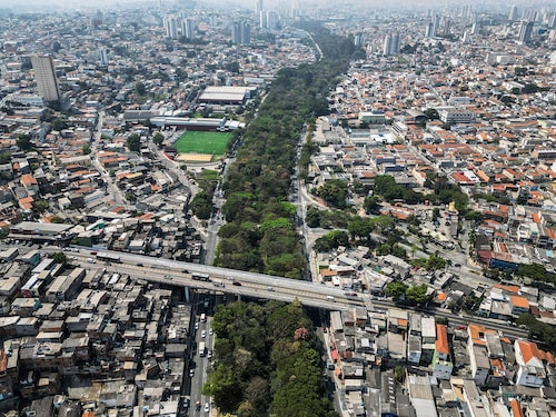 The Tiquatira Park has thousands of trees of 160 species stretched over 3.2 kilometers (two miles) long and 100 meters (328 feet) wide.
Image: Nelson Almeida / AFP© The Tiquatira Park has thousands of trees of 160 species stretched over 3.2 kilometers (two miles) long and 100 meters (328 feet) wide.
Image: Nelson Almeida / AFP©