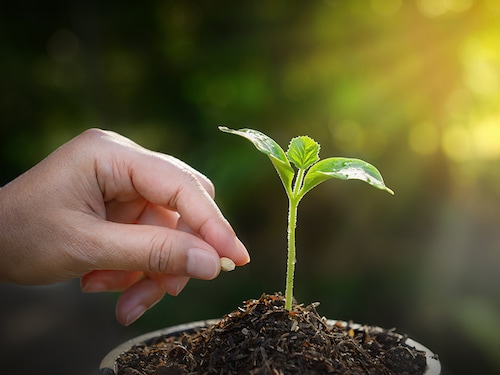Photo: Shutterstock