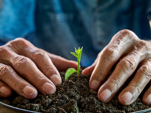 Image: Shutterstock (For illustrative purposes only)