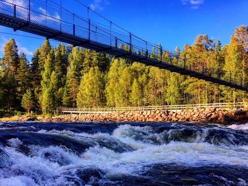 suspensionbridge
