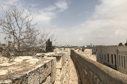006_bg 006_bg