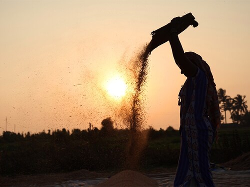 Crop insurance has emerged as the third-largest segment in terms of gross direct premium after motor and health (Image: Shutterstock.com)
