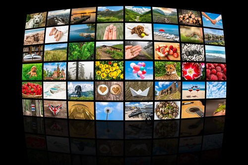 Image: Shutterstock