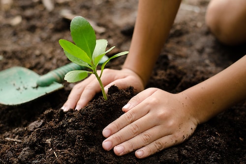 Image: Shutterstock