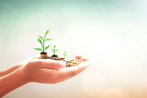 Image: Shutterstock