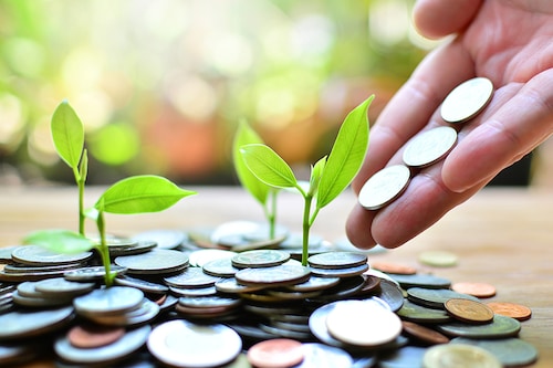 Image: Shutterstock