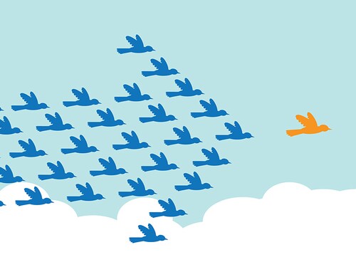 Birds flying in the formation of an arrow shape, following a leader bird. A metaphor on teamwork and leadership.