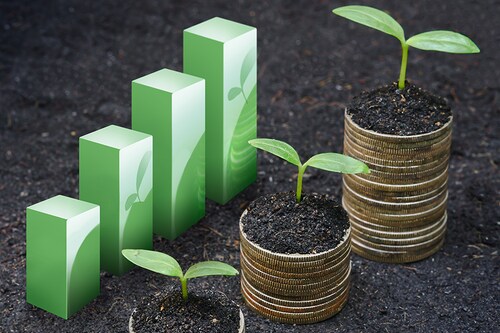 Image: Shutterstock