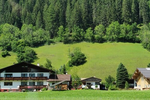 Lush green Alps in Austria