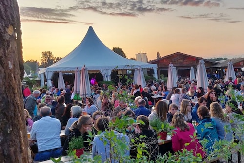 Erding summer festival