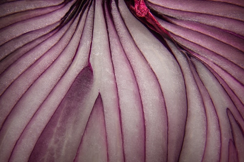 Image: Shutterstock