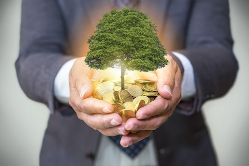 Image: Shutterstock