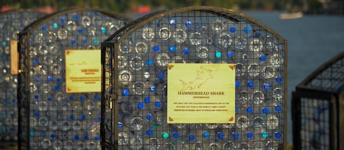 aakash-ranison-responsible-traveller-climate-activist-kozikode-calicut-kerala-worlds-first-marine-cemetery-3-5