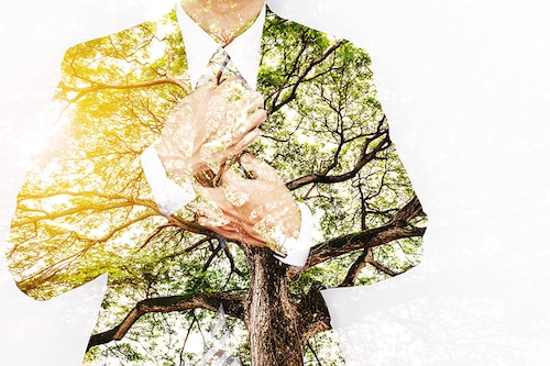 Image: Shutterstock