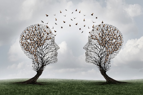 Image: Shutterstock