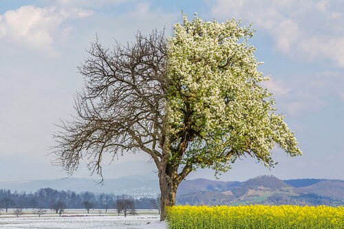 Image: Shutterstock