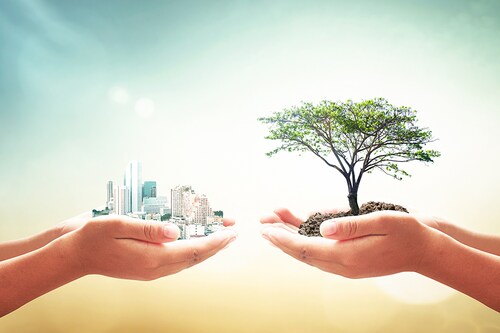 Image: Shutterstock