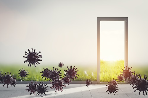 Image: Shutterstock