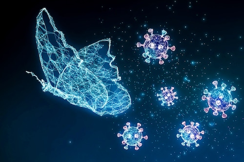 Image: Shutterstock