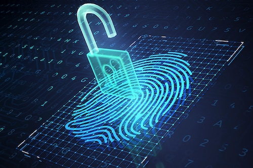Image: Shutterstock
