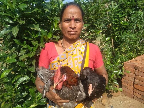 Vaishali Vikas Nikam, a tribal woman and rural entrepreneur from Raigad, is sustaining her family with backyard poultry. She is the only earning member in the household since the lockdowns began. Vaishali Vikas Nikam, a tribal woman and rural entrepreneur from Raigad, is sustaining her family with backyard poultry. She is the only earning member in the household since the lockdowns began.