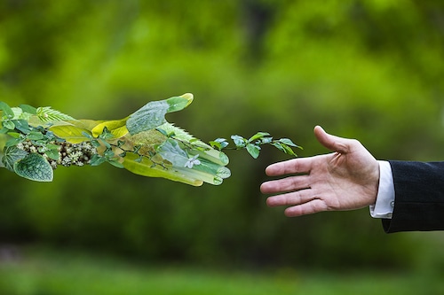 Image: Shutterstock