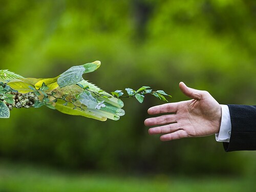 Hand of a businessman reach out towards hand of the nature