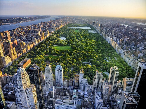 Manhattan Central park view from high position in the evening landscape