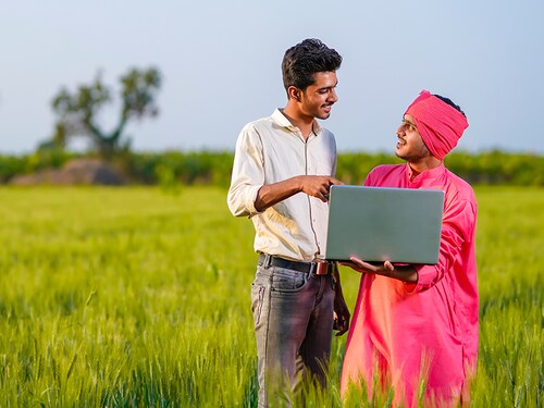 Young Indian agronomist or banker showing some information to farmer in laptop at wheat field