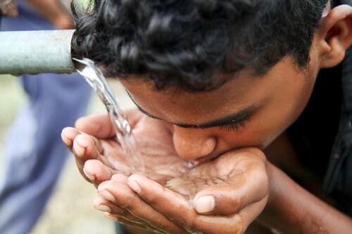 Image: Sonia Dhankhar / Shutterstock
